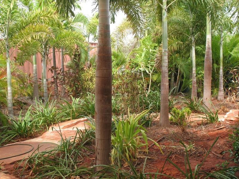 8 Rodriguez Road, Broome WA 6725