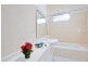 28 Plunkett Street, Drummoyne NSW 2047