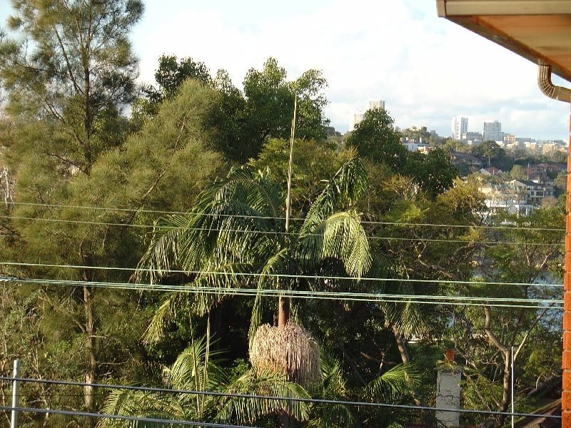 25 Collingwood Street, Drummoyne NSW 2047