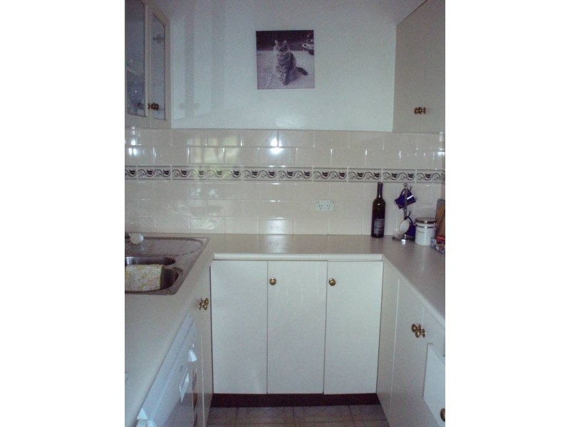 2 Alexandra Street, Hunters Hill NSW 2110