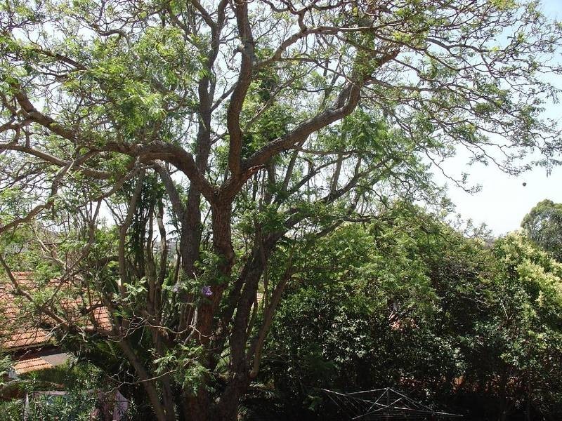 86 Hampden Road, Russell Lea NSW 2046