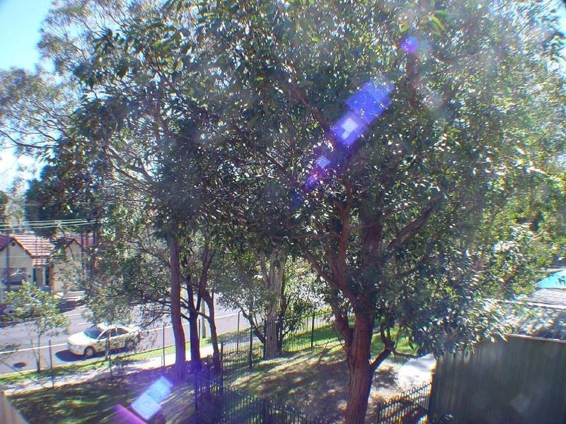 59 Tebutt Street, Leichhardt NSW 2040