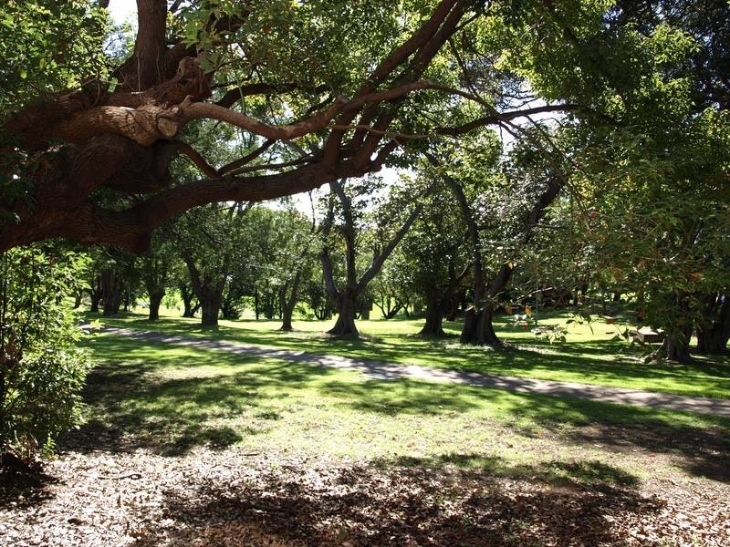 3/11 Bayswater Street, Drummoyne NSW 2047