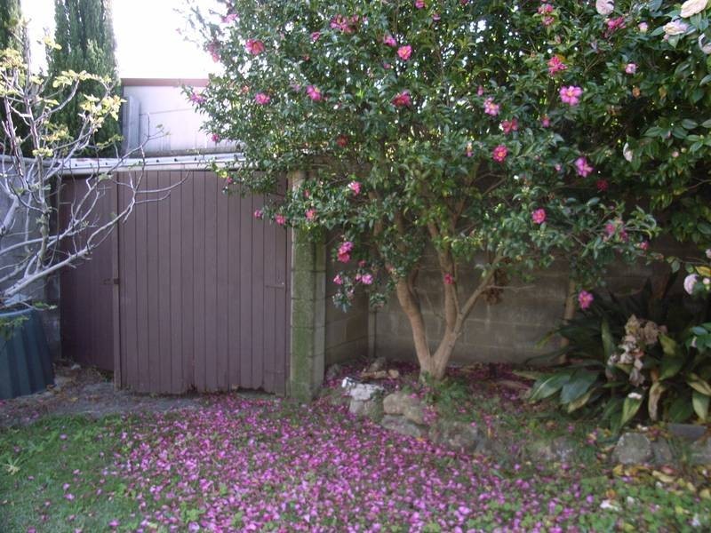 64 Day Street, Drummoyne NSW 2047