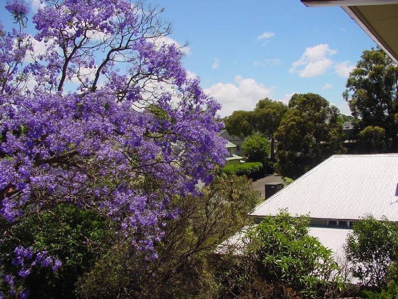 8/12-14 Matthew St, Hunters Hill NSW 2110