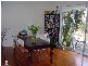 Balmain NSW 2041