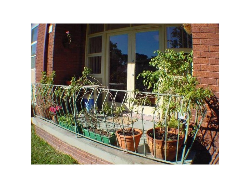 366 Great North Road, Abbotsford NSW 2046