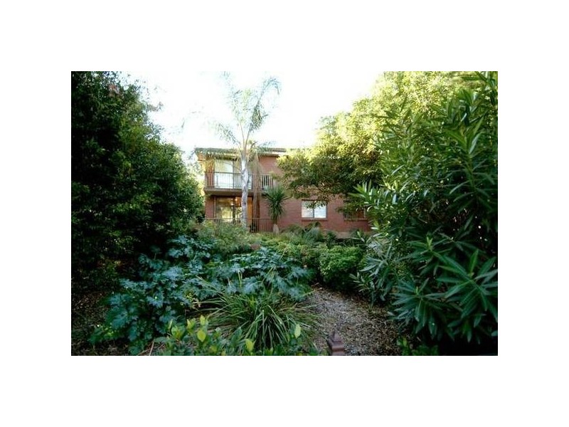 1/174 Hampden, Abbotsford NSW 2046