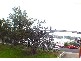 361 Victoria Place, Drummoyne NSW 2047