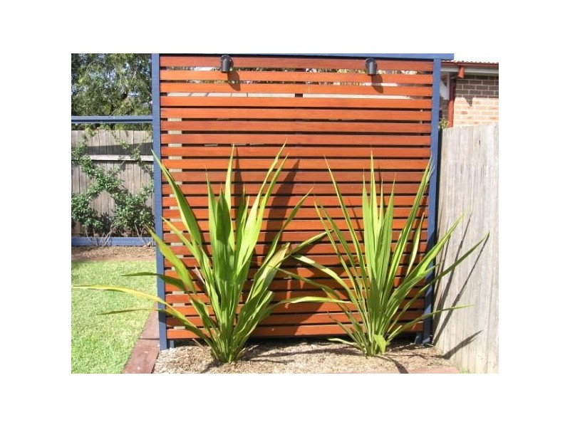 19 Connecticut Avenue, Five Dock NSW 2046