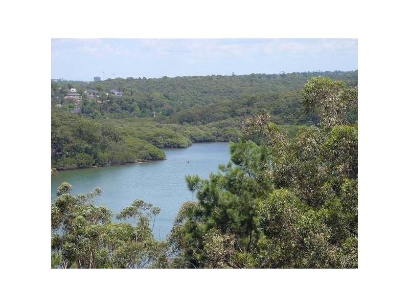 299 Burns Bay Road, Lane Cove NSW 2066