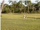 1208 Burrum Heads Road, Burrum Heads QLD 4659