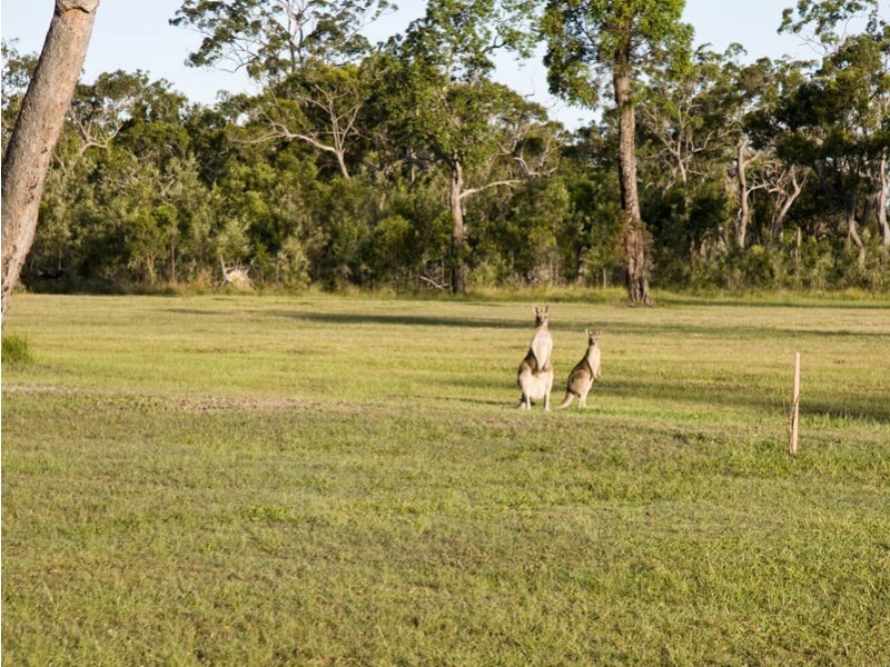 1208 Burrum Heads Road, Burrum Heads QLD 4659