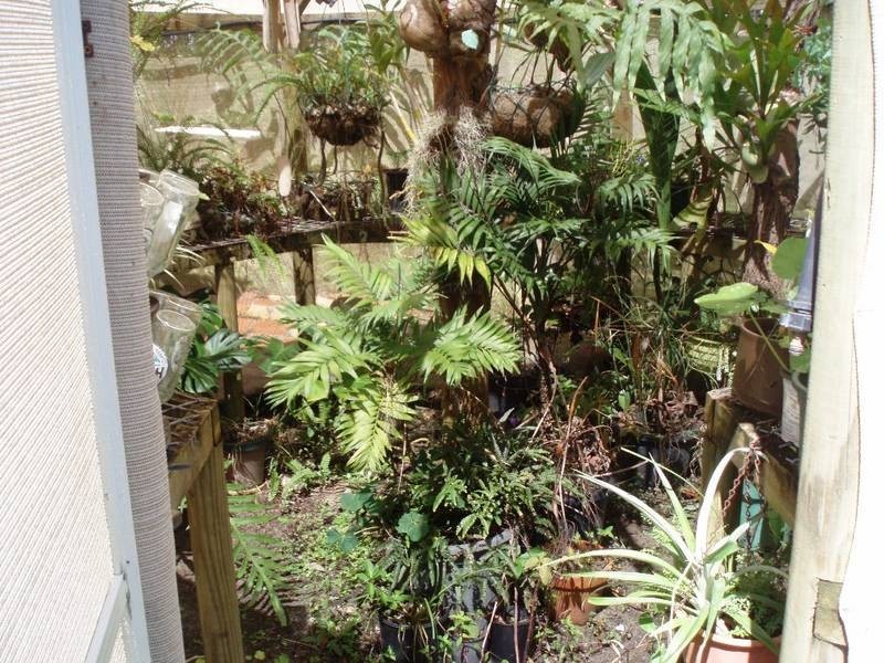 32 Roberts Road North, Torbanlea QLD 4662