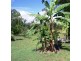 32 Roberts Road North, Torbanlea QLD 4662