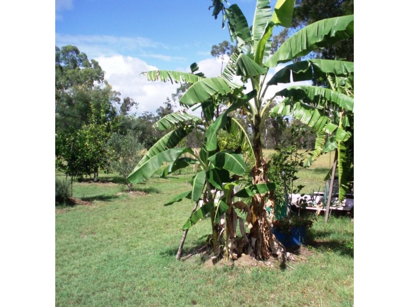 32 Roberts Road North, Torbanlea QLD 4662