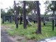 32 Roberts Road North, Torbanlea QLD 4662