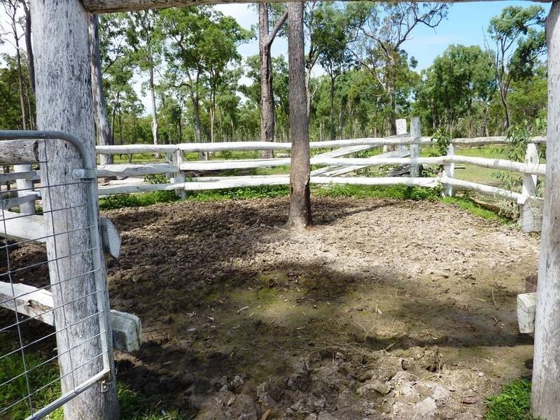 103 Pacific Haven Cct, Pacific Haven QLD 4659