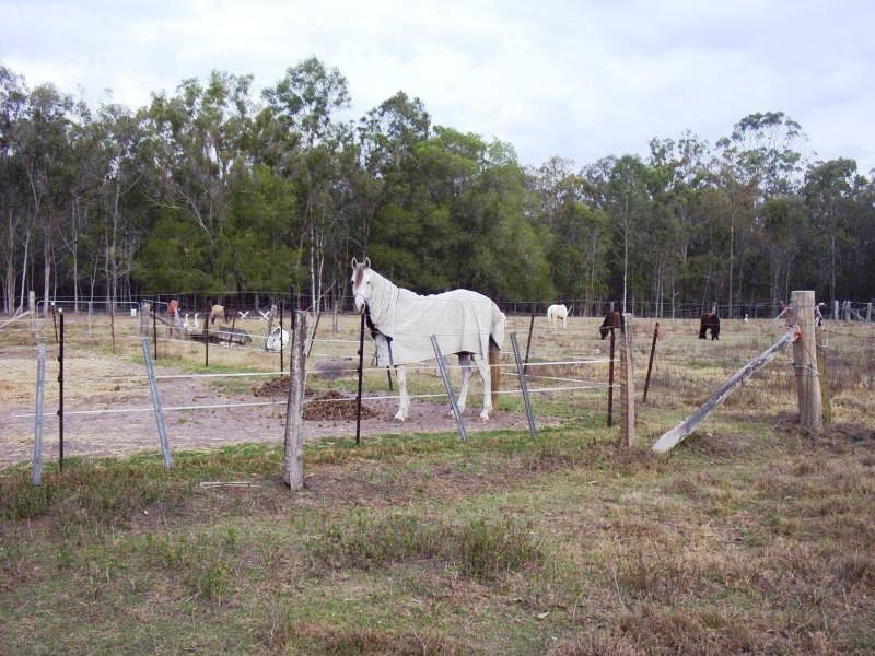 52 Nolan’s Road, Torbanlea QLD 4662