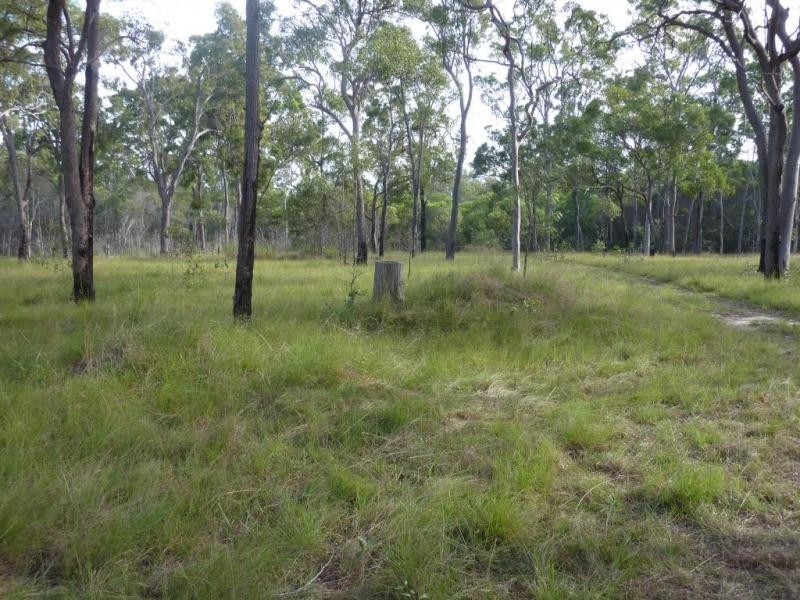 98 Pacific Haven Cct, Pacific Haven QLD 4659