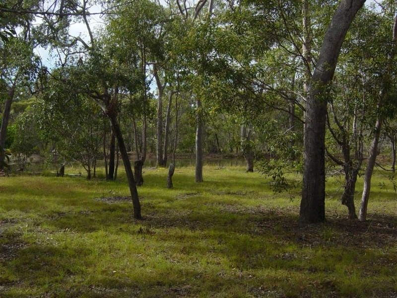 81 Pacific Haven Circuit, Pacific Haven QLD 4659