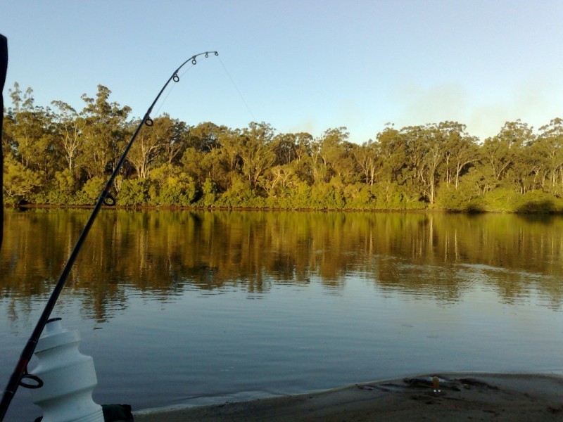 17 Ranch Park Dr, Pacific Haven QLD 4659