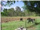 41 Annie St, Howard QLD 4659