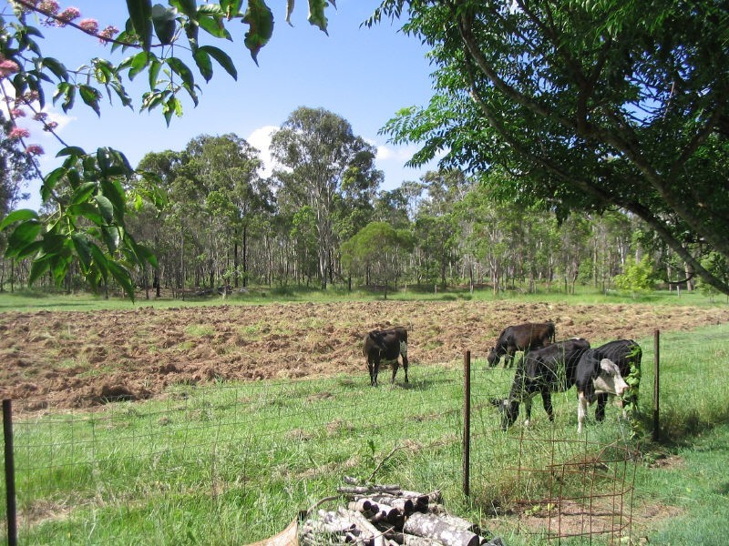 41 Annie St, Howard QLD 4659