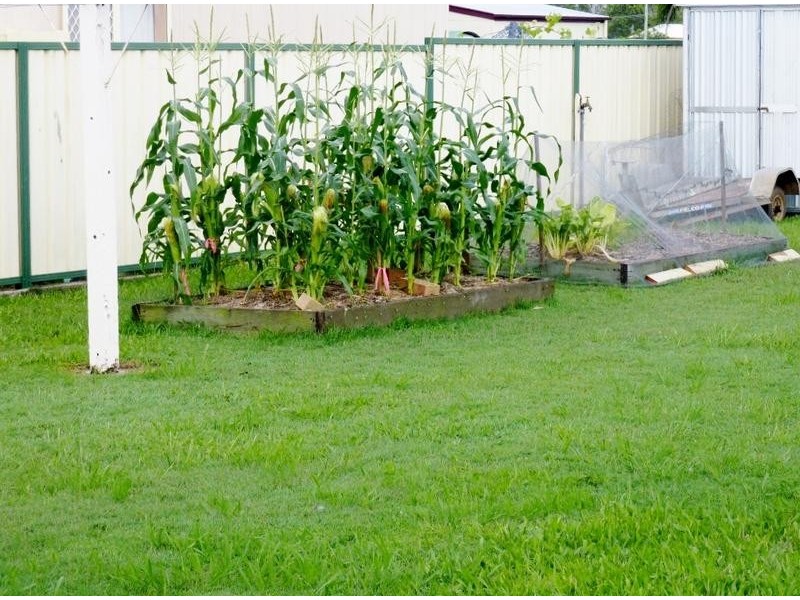 13 Eglington Street, Torbanlea QLD 4662