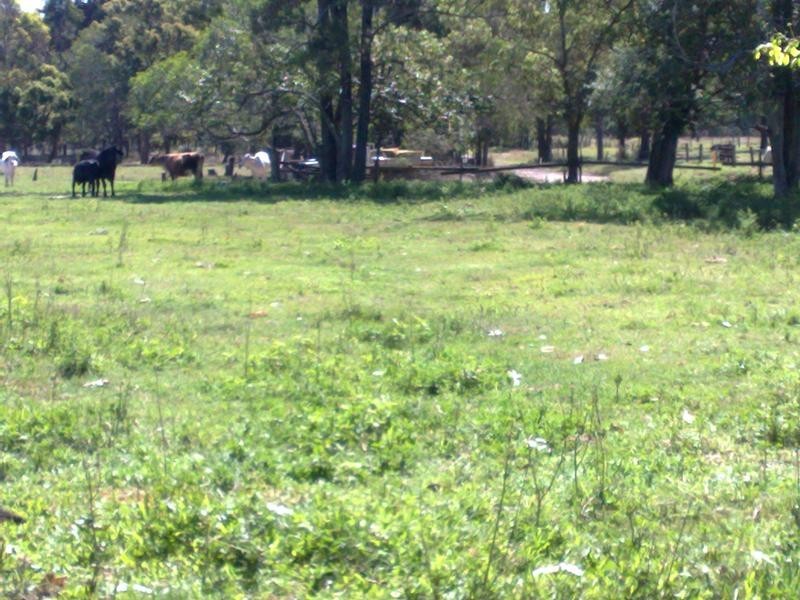 0 Bilsborough Rd, Howard QLD 4659