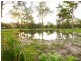 193 Pacific Haven Cct, Pacific Haven QLD 4659