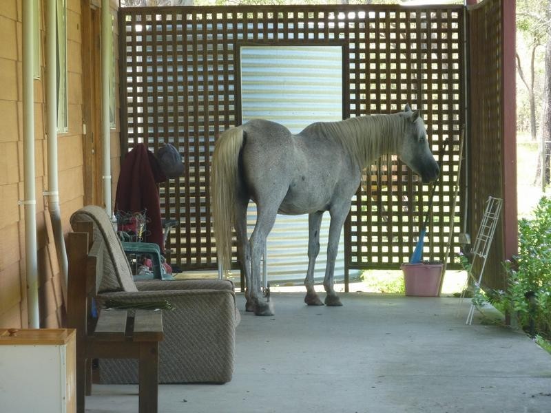 32 & 32A Pacific Haven Cct, Pacific Haven QLD 4659