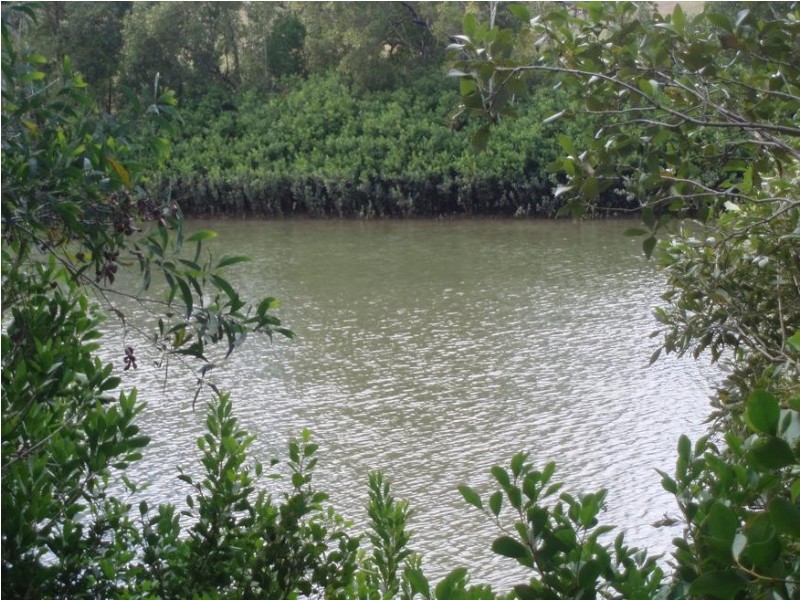 1 MARTINDALE RD, Howard QLD 4659