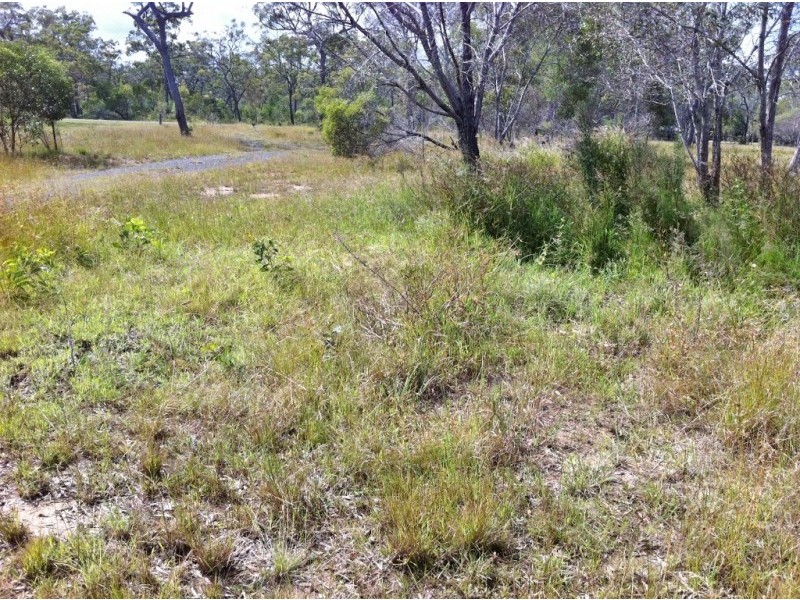 317 Pacific Haven Circuit, Pacific Haven QLD 4659