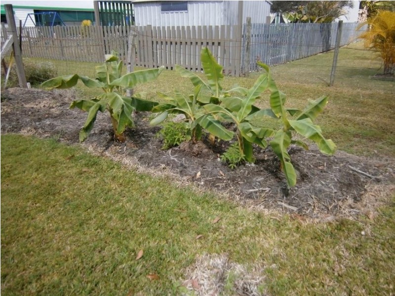 42 Annie St, Howard QLD 4659