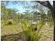 21 Ranch Park Dr, Pacific Haven QLD 4659