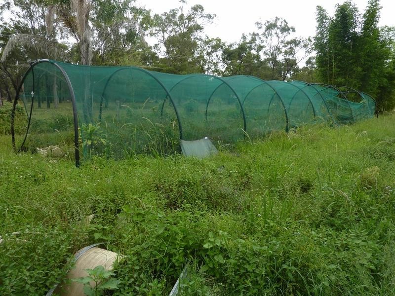 152 Pacific Haven Circuit, Pacific Haven QLD 4659