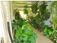 300 Pacific Haven cct, Pacific Haven QLD 4659