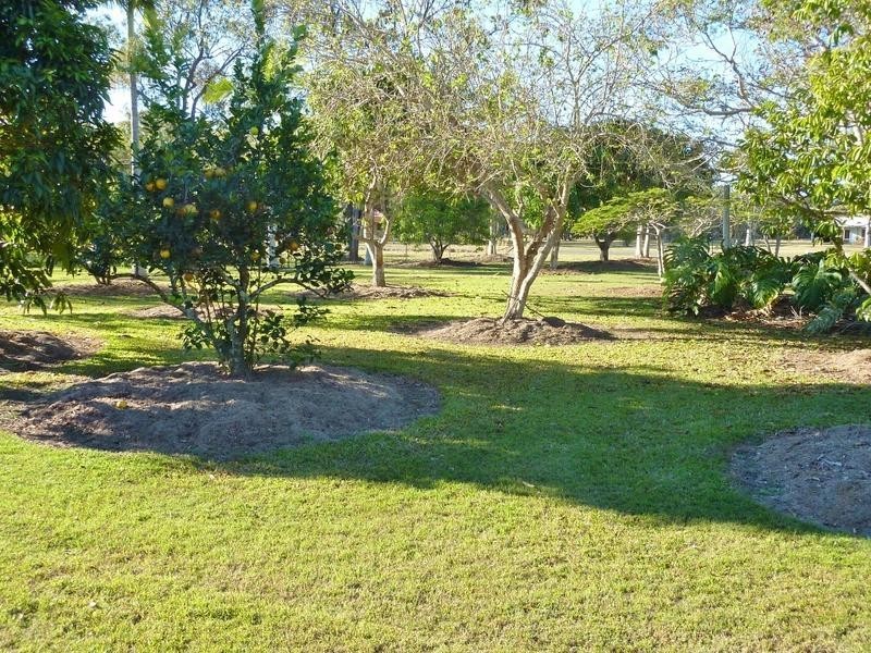 26 Diamantina Avenue, Howard QLD 4659