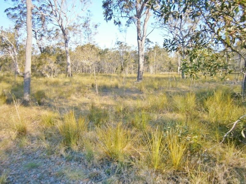 Lot 515, 54 Marina Dve, Pacific Haven QLD 4659