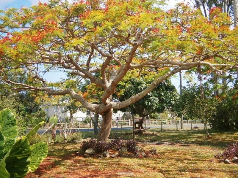 9-11 Woodrow Street, Howard QLD 4659