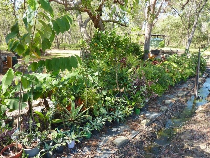8 Jacqueline Drive, Pacific Haven QLD 4659