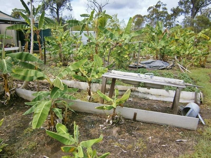 0 Todd St, Torbanlea QLD 4662