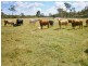 Lot 7 Ralphs Rd, Howard QLD 4659