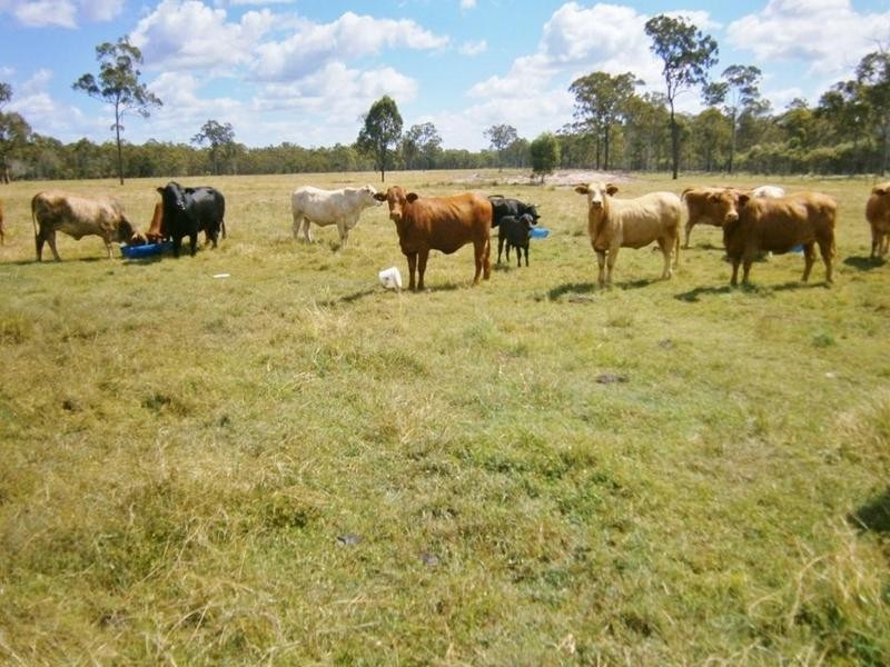 Lot 7 Ralphs Rd, Howard QLD 4659