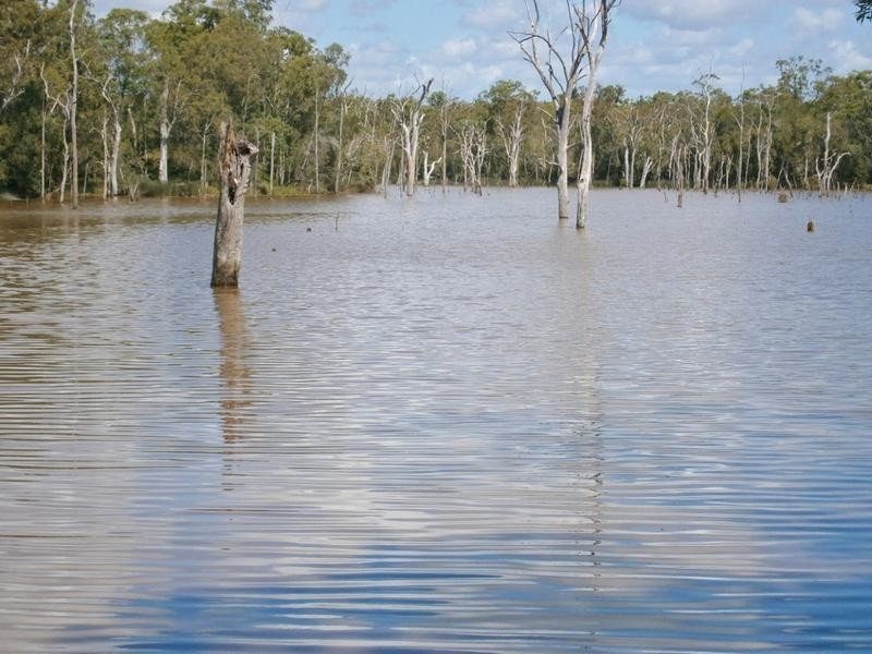 Lot 7 Ralphs Rd, Howard QLD 4659