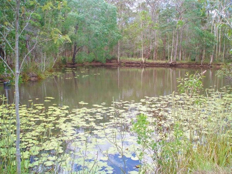107 Hunter St, Torbanlea QLD 4662