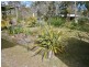 231 Pacific Haven Cct, Pacific Haven QLD 4659
