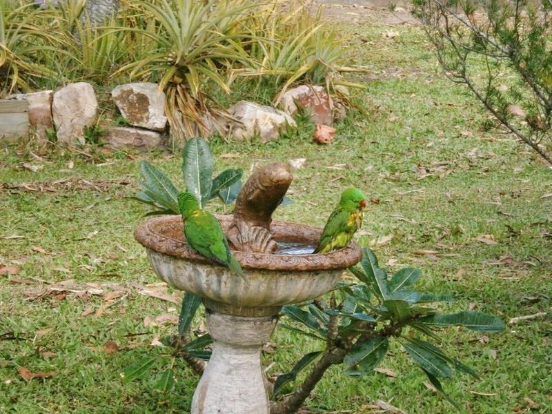231 Pacific Haven Cct, Pacific Haven QLD 4659