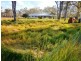 171 Pacific Haven Dr, Howard QLD 4659